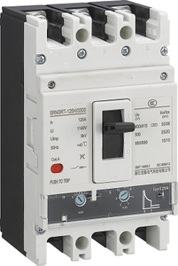 TM可调节的模制箱断路器80A/100A/125A/160A 3P（3P+N）0.7-1.0in